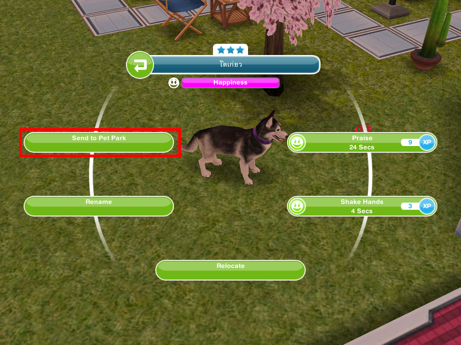 Disuke Taro The Sims Free Play Thailand 2024 เปิดสถานที่ฝึกสัตว์เลี้ยง