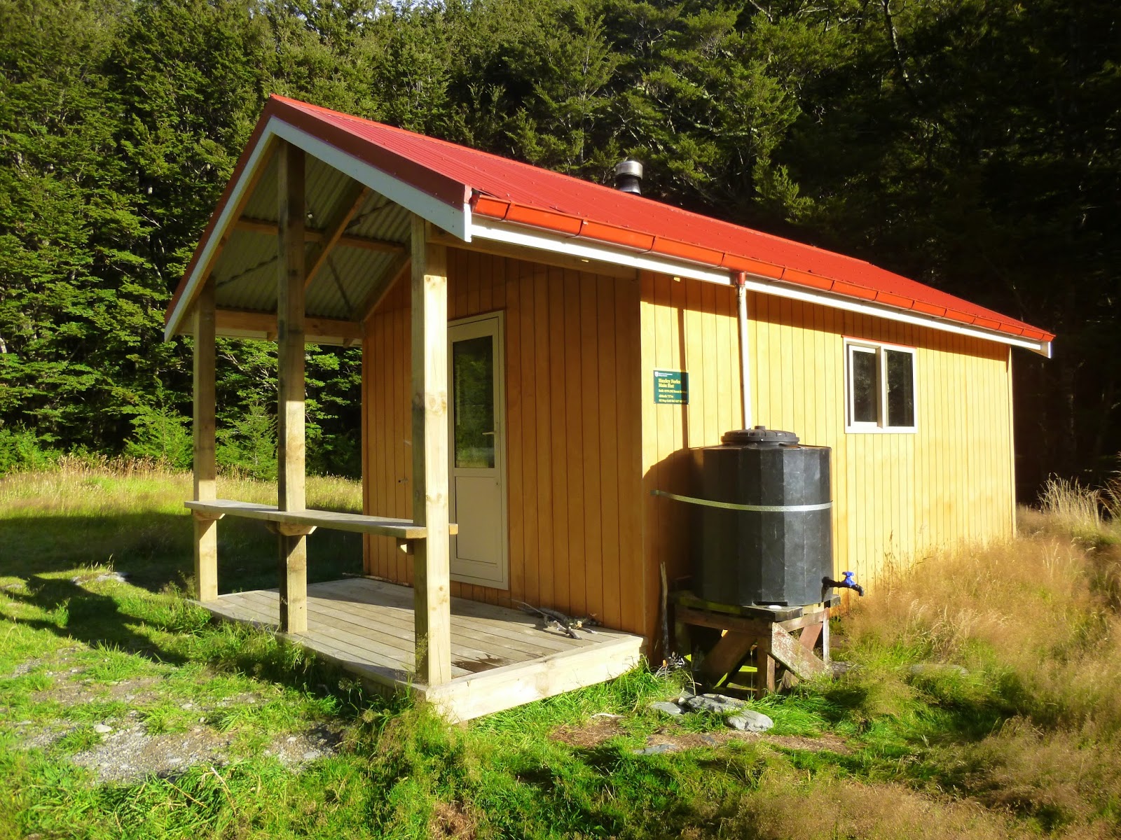 Emerging From The Undergrowth Otago Coast,Mackenzie Country,Hopkins