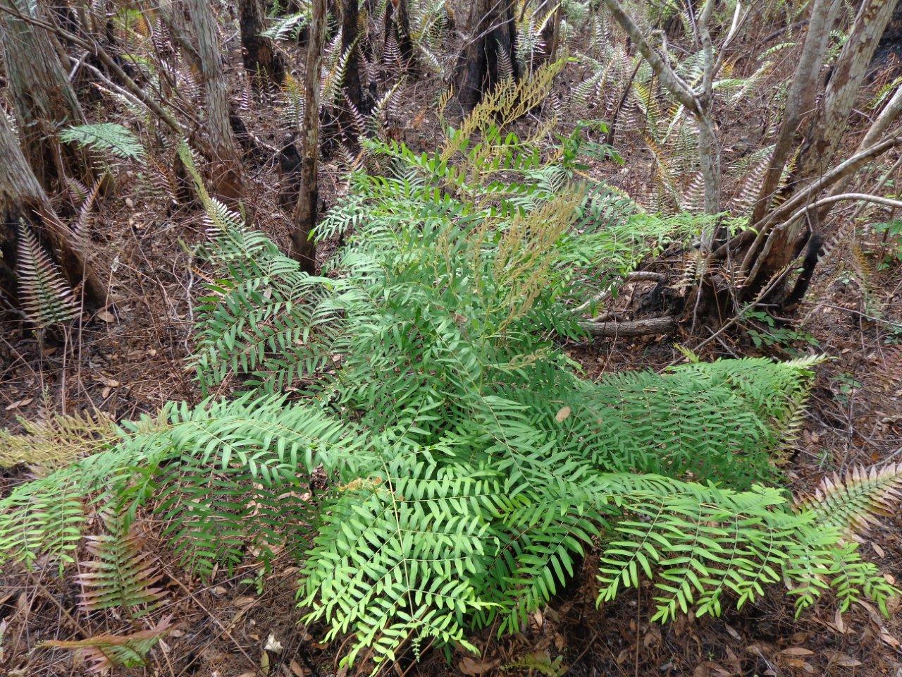 Travels Without Charley Enjoying Steinbeck's America 1/22 Corkscrew