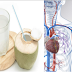 Things Will Happen To Your Body When You Drink Coconut Water For 14 Days