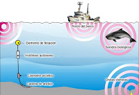 Fuente: http://www.grupoalava.com/repositorio/4403/imagenes/5864/17/hidrofonosesquema.jpg
