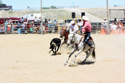 PairADice Mules: Jake Clark Mule Days Rodeo