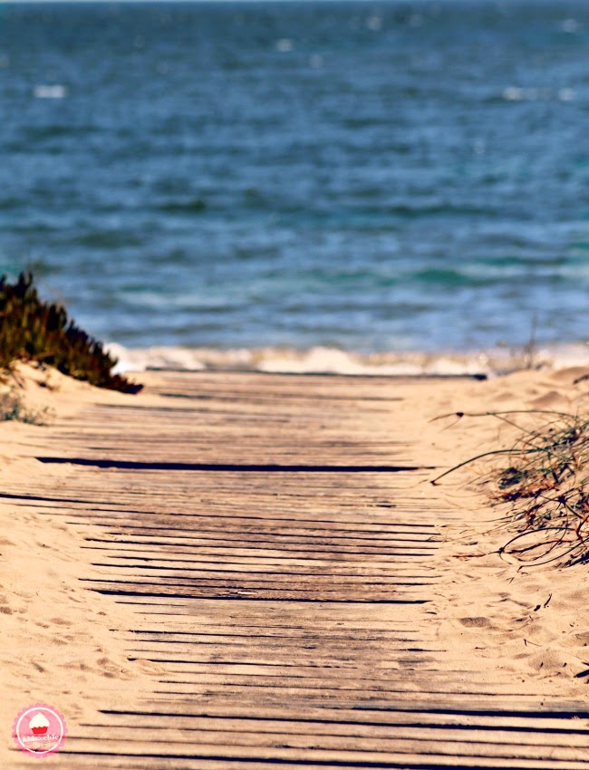 12.13.14 Septiembre fotografías 