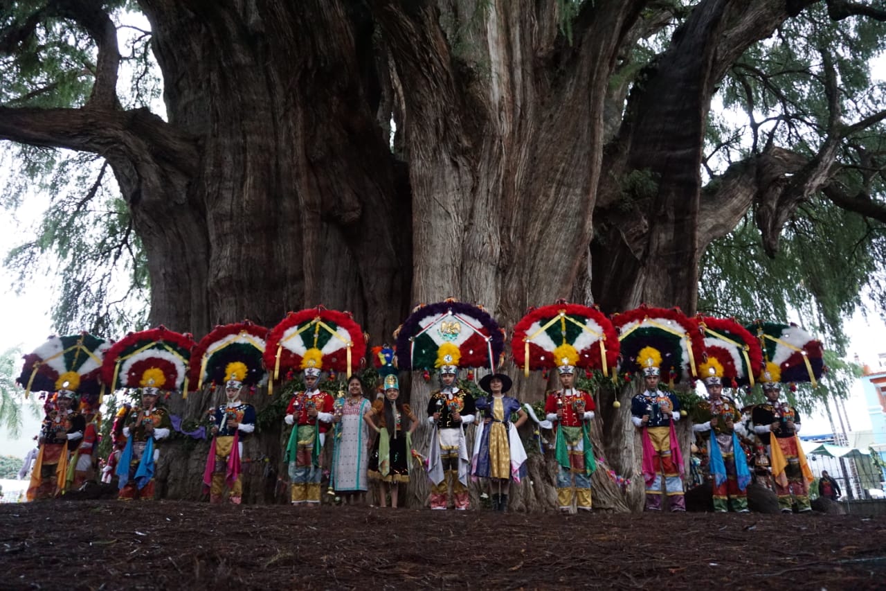 Celebran la Fiesta 2018 al Árbol del Tule en Oaxaca - Vive Oaxaca - Viajes, Tradiciones, Experiencias Vive Oaxaca - Viajes, Tradiciones, Experiencias