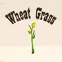 The Trail - Wheat Grass