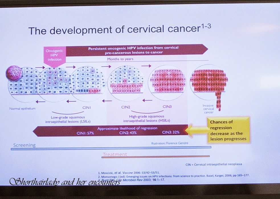 quinnipiac-university-transfer-stage-3-pre-cervical-cancer-treatment
