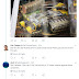 SuperHeavy Primaris Tank Identified as Primaris