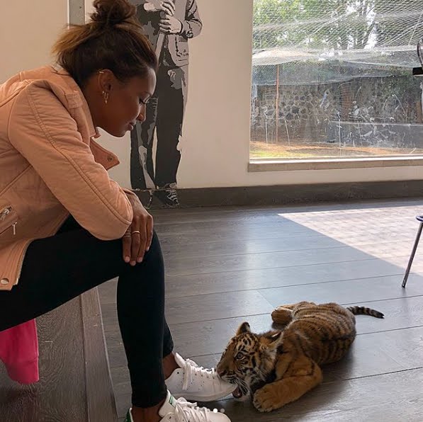 La modella Jasmine Tookes visita il tigrotto Baby Jasmine al The Black Jaguar-White Tiger Foundation