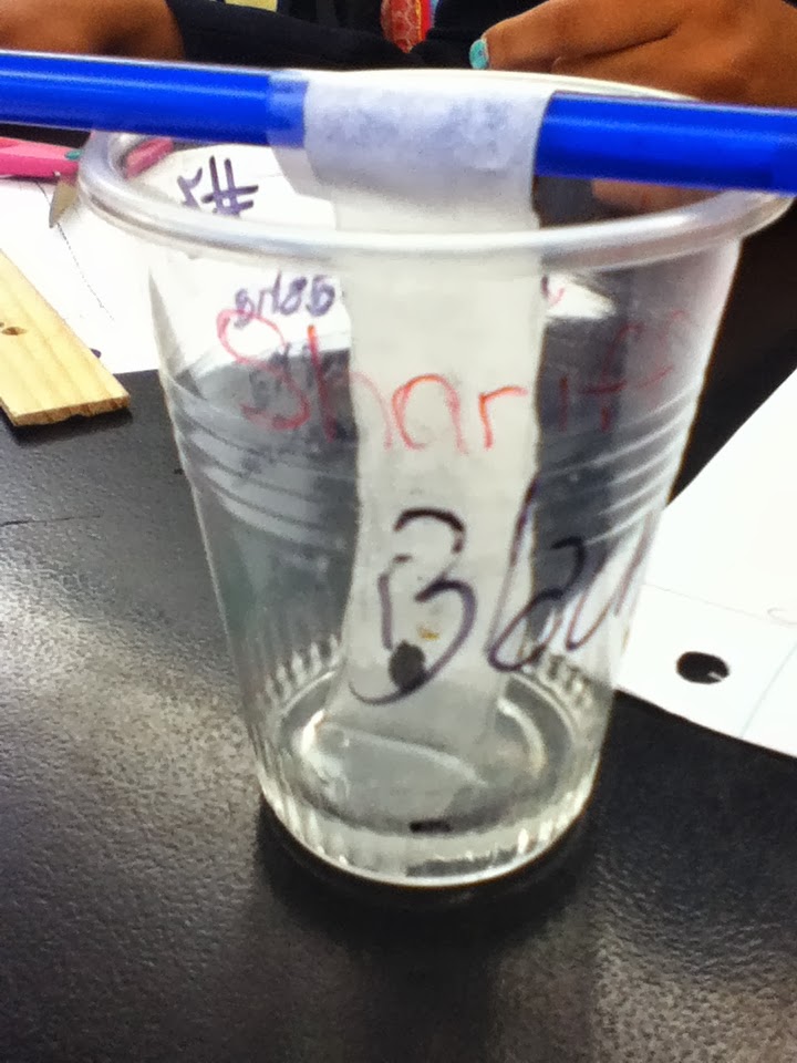 Paper Chromatography