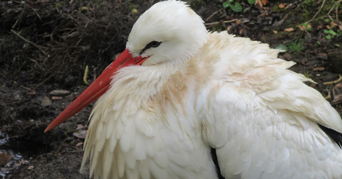 Dingen die fijn zijn: Bakken als een baas ;)