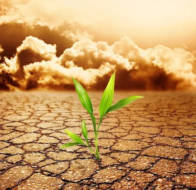 Perubahan iklim dalam ketahanan pangan - berbagaireviews.com