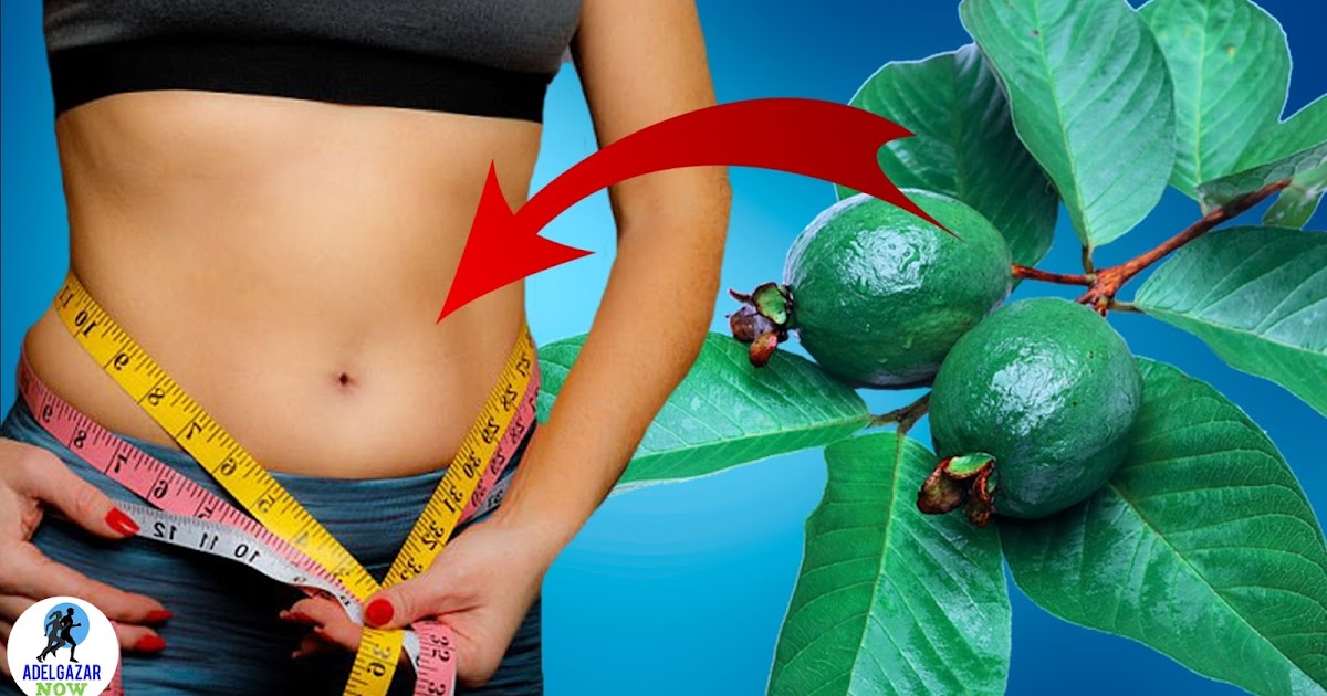 COMO PREPARAR TÉ DE HOJAS DE GUAYABA PARA ADELGAZAR RÁPIDO