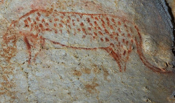 When Europe Was An Ocean Big Cats Of Europe Past And Present When Europe Was An Ocean Big Cats Of Europe Past And Present