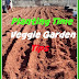 Planting Time.....and Veggie Garden Tips