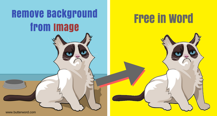 Remove Background from Image Free in Word - Advanced photo background,background remover,make image transparent background,