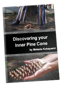 Melanie Kobayashi's book, Discovering Your Inner Pine Cone