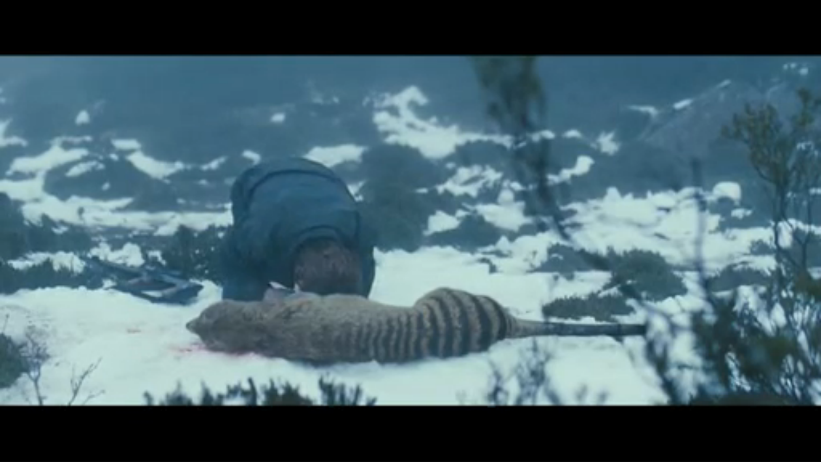 Le Loup Et Le Tigre Film