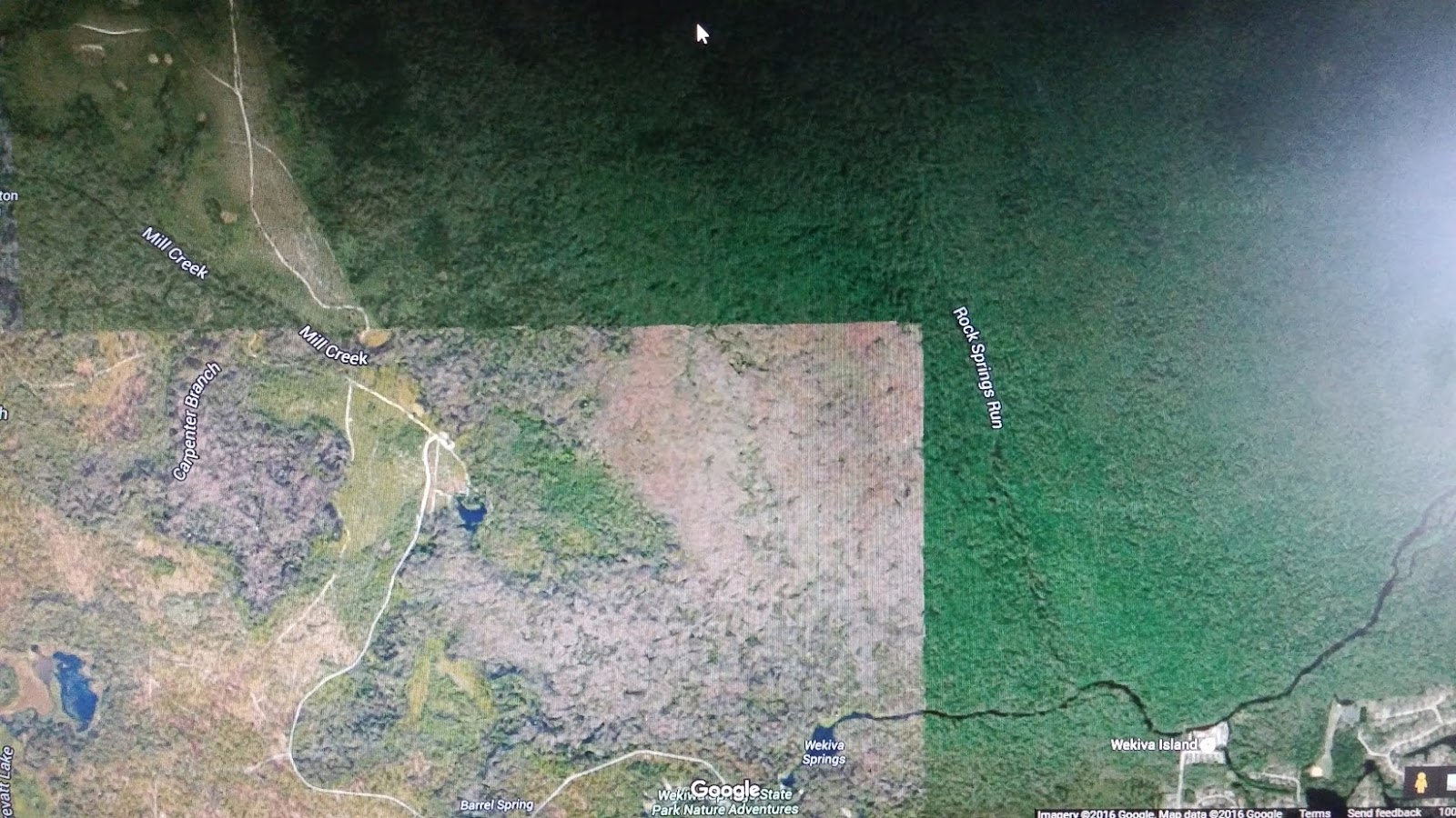 JLB Creatives From the Nose of Our KayakChapter 8 Discovering Wekiva