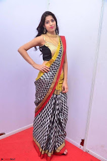 Naziya Khan Model in Saree At Kala Silk Handloom Expo Dec 2017~  Exclusive Galleries 005