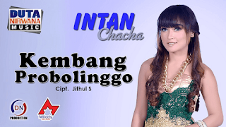 Lirik Lagu Intan Chacha - Kembang Probolinggo