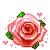Hoa hồng tặng em