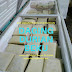 Pabrik Daging Durian Medan Maidanii di Langara