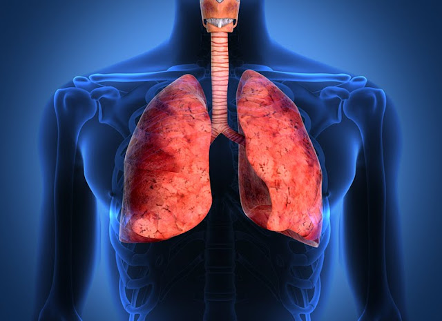 Cara Ampuh Menghilangkan Polusi Asap di Dalam Paru Paru Kita Cara Ampuh Menghilangkan Polusi Asap di Dalam Paru Paru Kita