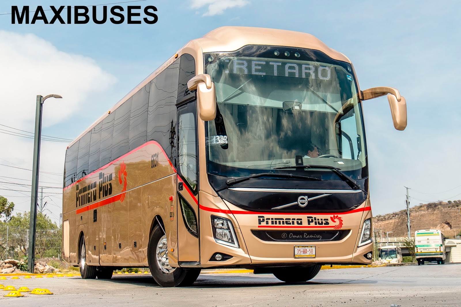 MAXIBUSES PRIMERA PLUS
