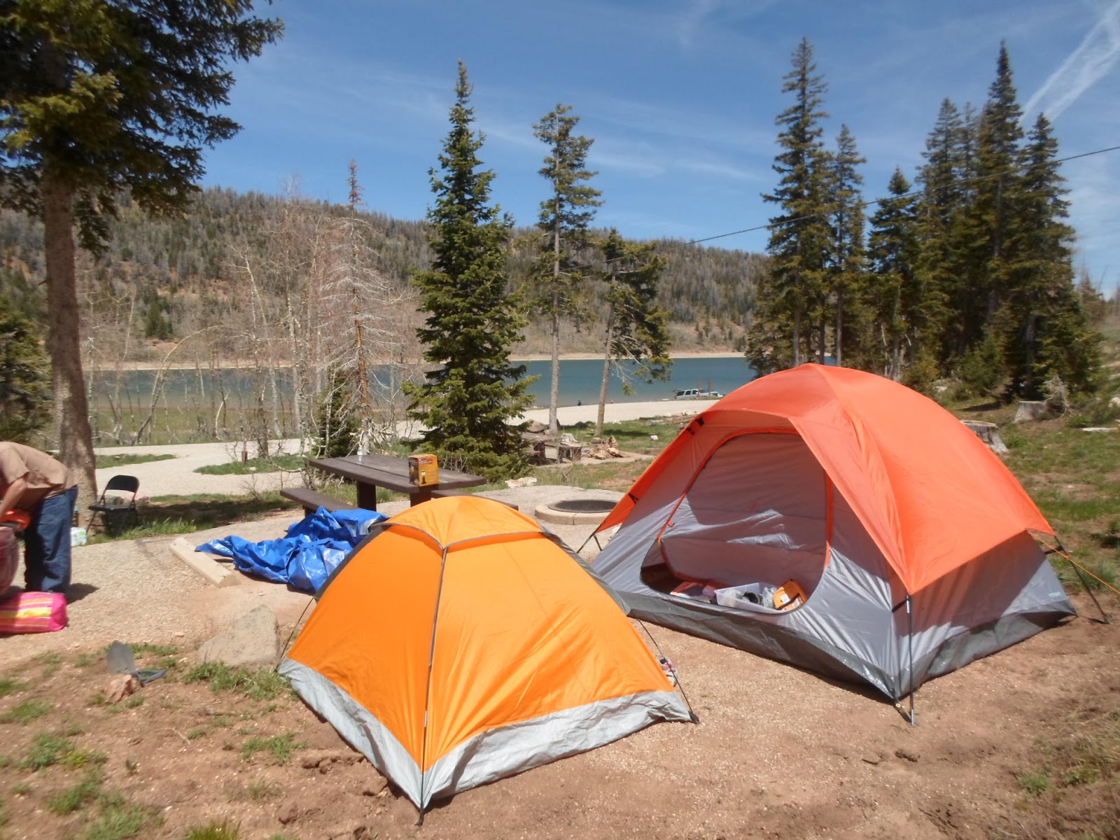 Rendla Ramblings Camping in Dixie National Forest
