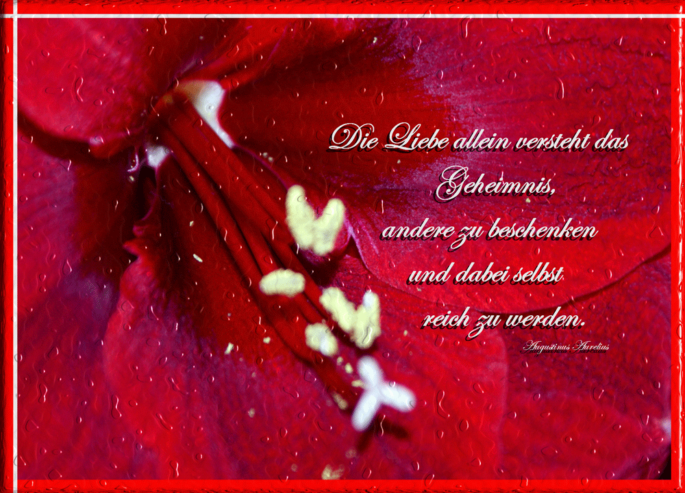 Liebe SMS Sprüche