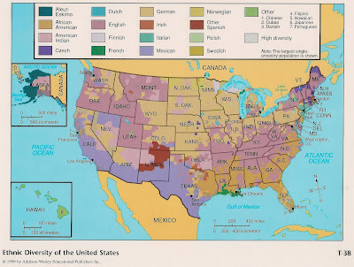 Diversity united states essay