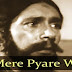Aye Mere Pyare Watan / ऐ मेरे प्यारे वतन / Lyrics In Hindi 