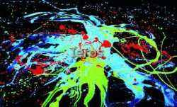 colori per luce wood uv colori per luce wood uv