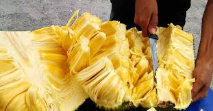 Bahaya Makan Buah Nangka Bagi Ibu Hamil Bahaya Makan Buah Nangka Bagi Ibu Hamil