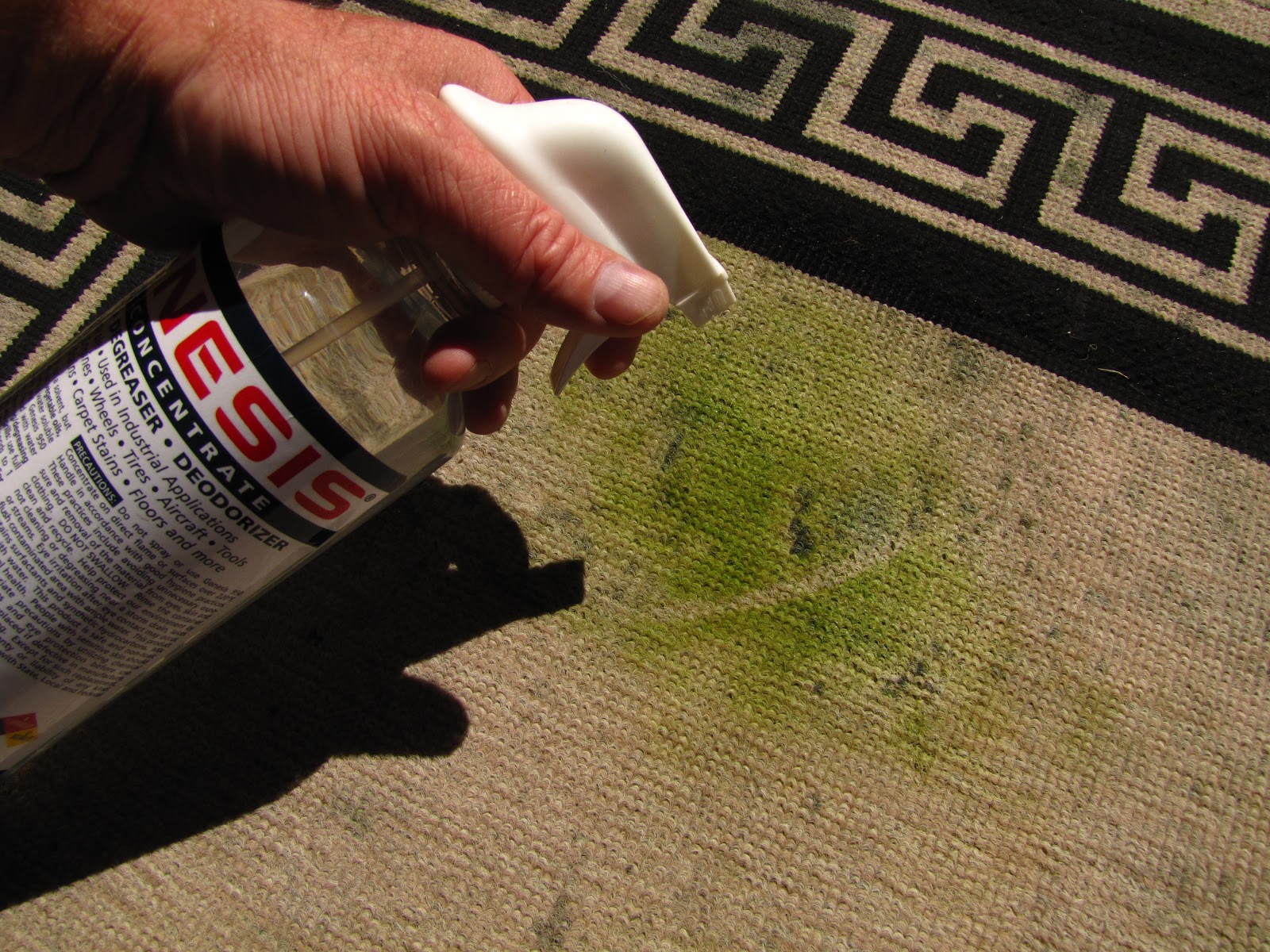 Genesis 950 Cleaning Tips And Tricks How To Clean Carpet Stains with