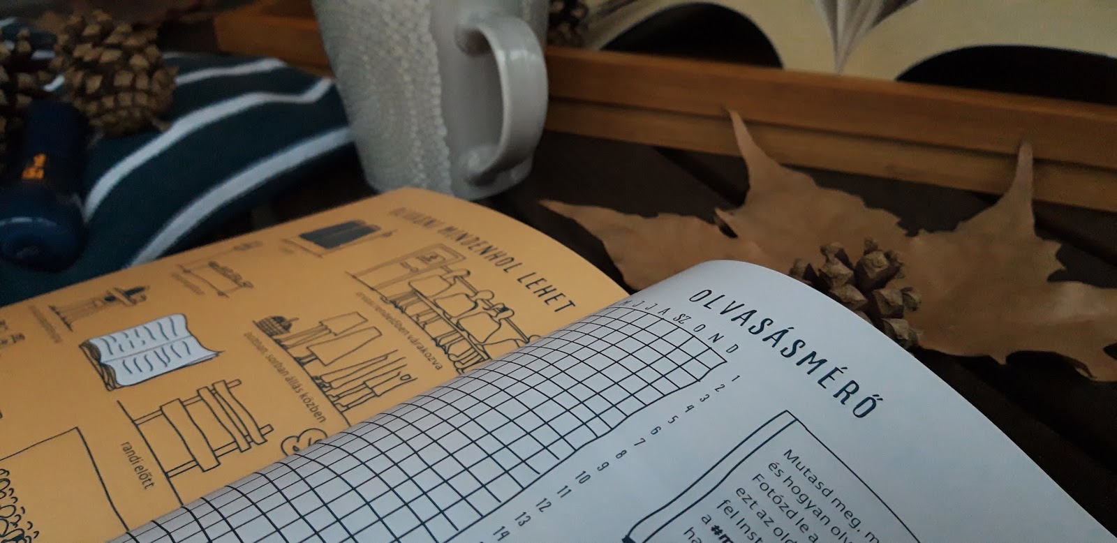 A természetes affinitás randi