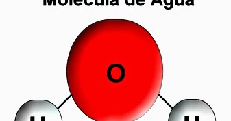 sugerencias de gran alcance en atp metabolismo