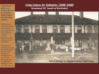 Craig Colony for Epileptics- More at link under documents