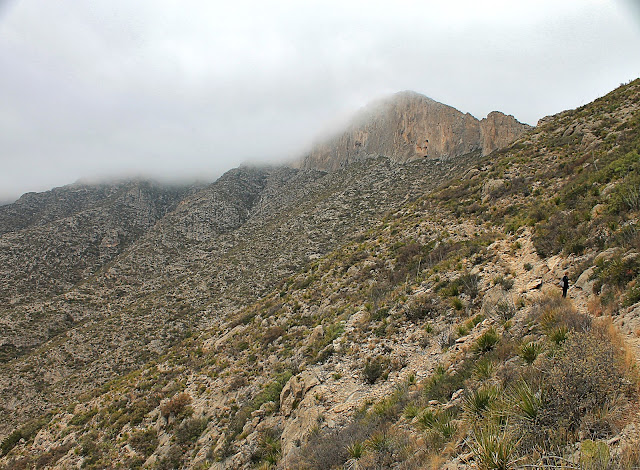 Guadalupe Mountains National Park Texas New Mexico McKittrick Canyon Queen Plateau Permian reef trail hiking fossils desert canyon copyright RocDocTravel.com