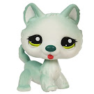 Littlest Pet Shop Tubes Husky (#1563) Pet