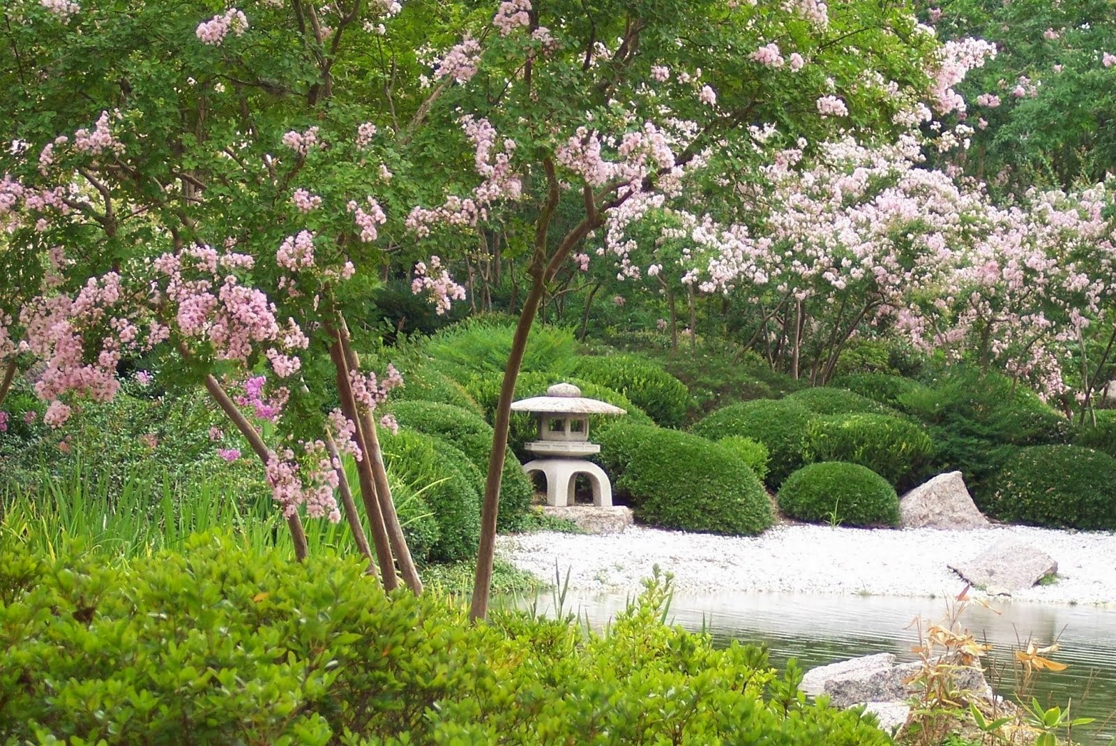 Japanese Garden, Houston, Texas