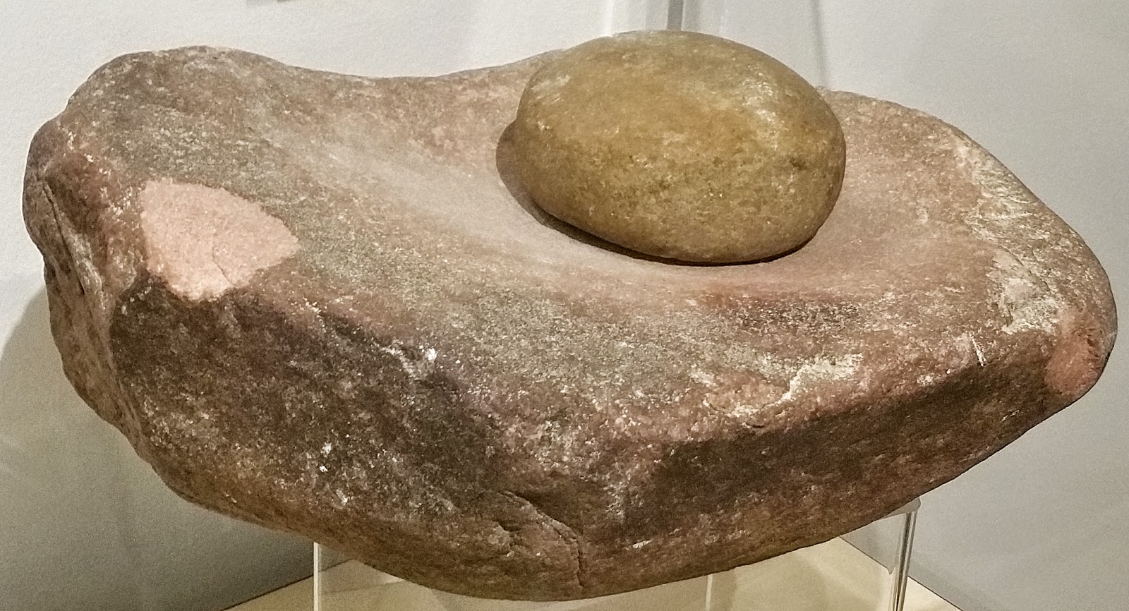 History and Culture by Bicycle Native American Artwork Featuring Chuck Raymond American Indian