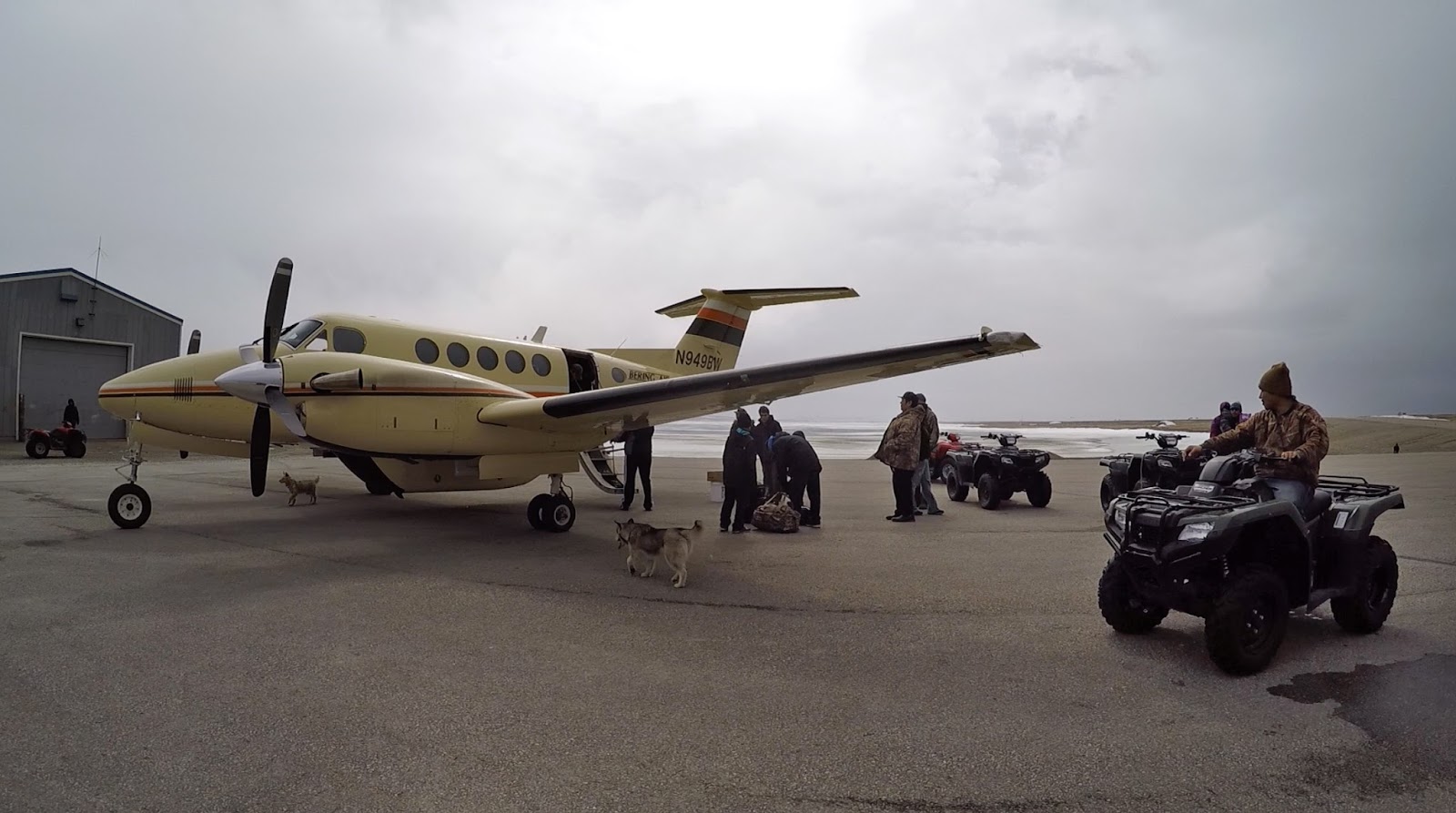 biotope Gambell, St.Lawrence island Alaska spring birding