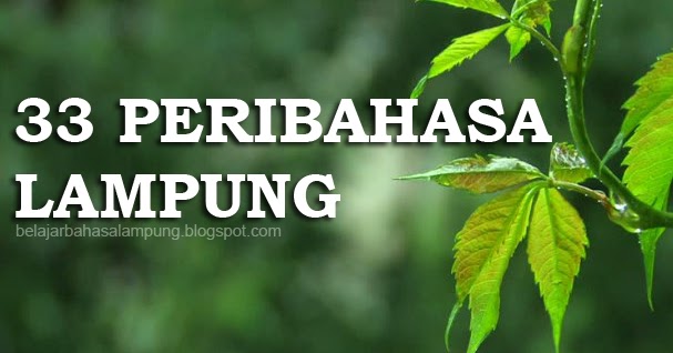 25 Kata Kata Bijak Bahasa Lampung Dan Artinya Kata Kata Mutiara Bucin