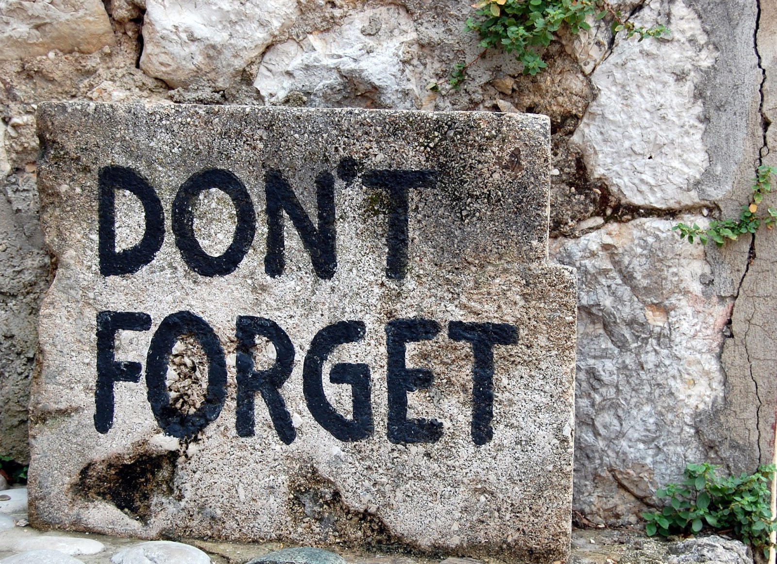 You forget. Dont forget you. Simple minds don't you forget about me. Ты здесь навсегда симпсоны. Who are you.