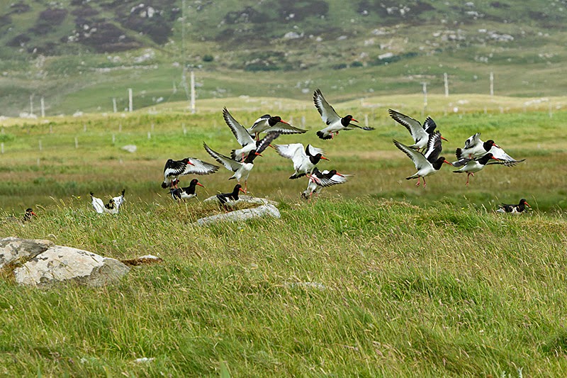 Photographing my travels Eriskay, South Uist and Benbecula
