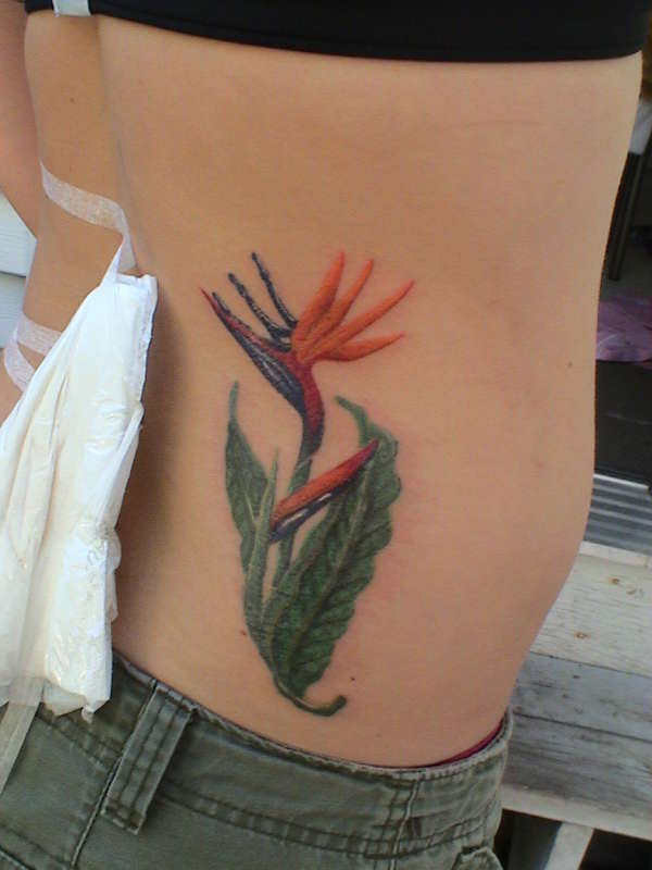 scripture tattoos designs Bird of Paradise Tattoo Designs