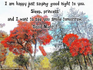 I am happy just saying good night to you. <a href= good night quotes