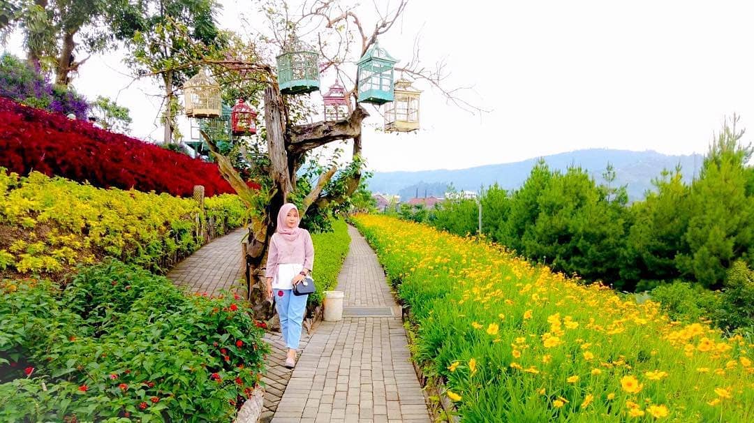 Wisata Taman Bunga Rainbow Garden Serasa Berada Di Taman Bunga Negeri Sakura Travellink Indonesia