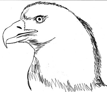 2000 Gambar Dua Dimensi Fauna Gratis Gambar Id